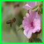 http://img77.xooimage.com/files/e/8/2/images6-33187c8.jpeg