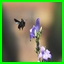 http://img77.xooimage.com/files/e/d/3/sq-3498a00.jpg